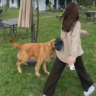 骨妹
